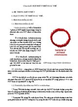 Chuyên đề Sinh học 12 - Đột biến nhiễm sắc thể